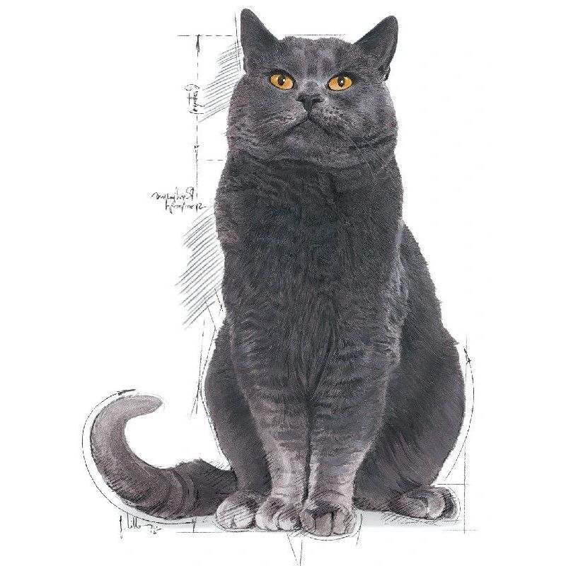 Barība fhn sterilised 12+ 0.4kg