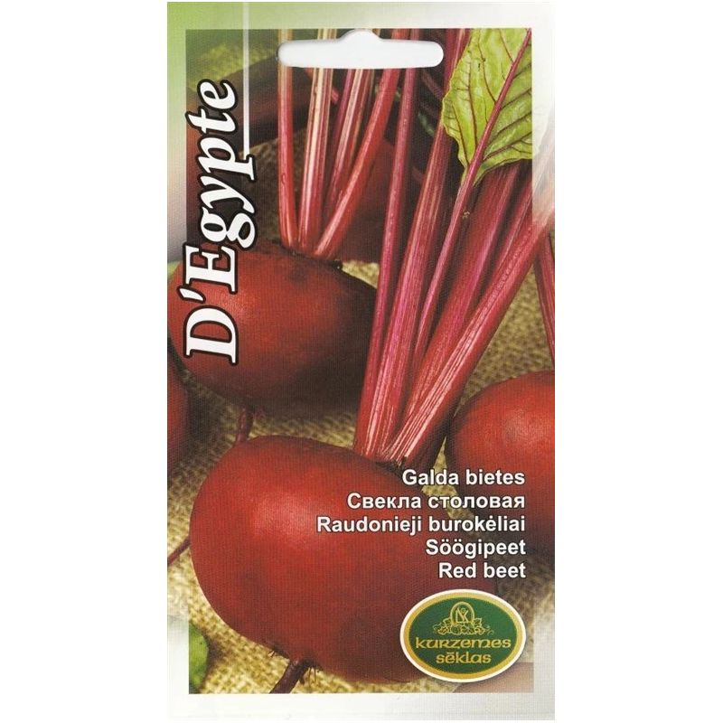 Sēklas bietes galda degypte