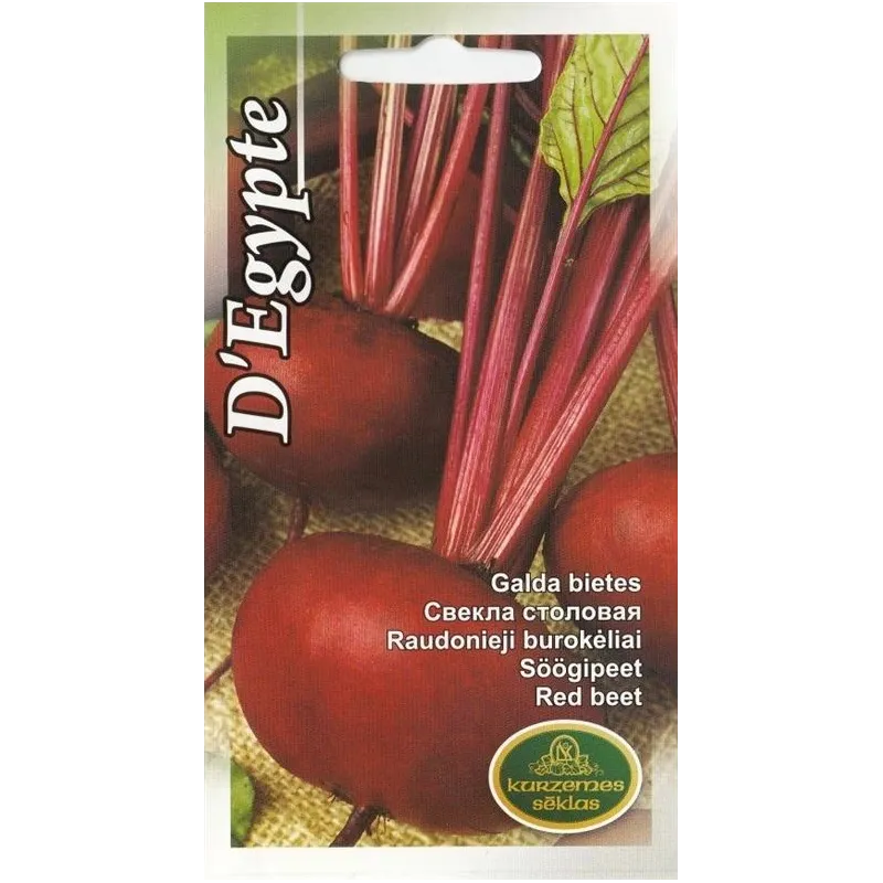 Sēklas Kurzemes sēklas, galda bietes D'Egypte, 5 g