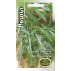 Sēklas Kurzemes sēklas, rukola Pronto, 1 g