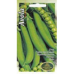 Sēklas zirņi avola