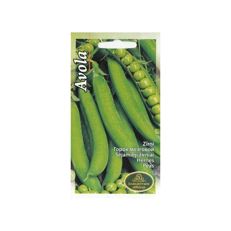 Sēklas zirņi avola