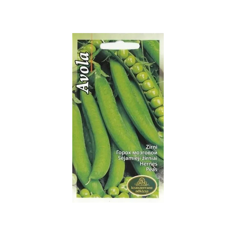 Sēklas Kurzemes sēklas, zirņi Avola, 15 g