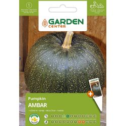 Sēklas lielo ķirbju ambar