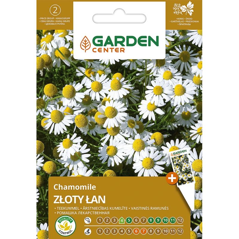 Sēklas ārstniecisko kumelīšu zloty lan