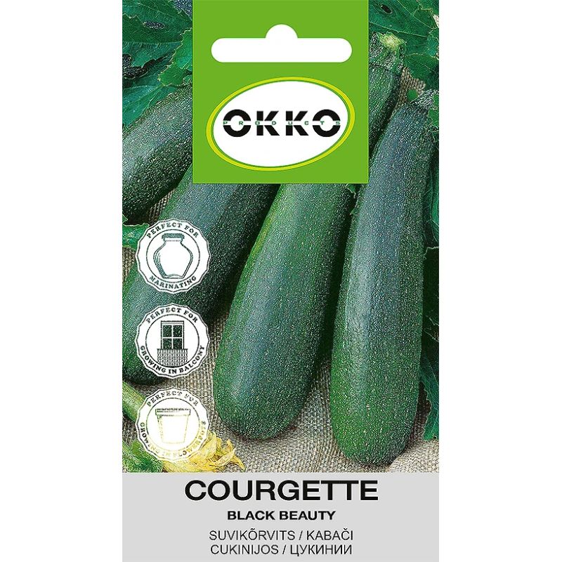 Sēklas kabači black beauty