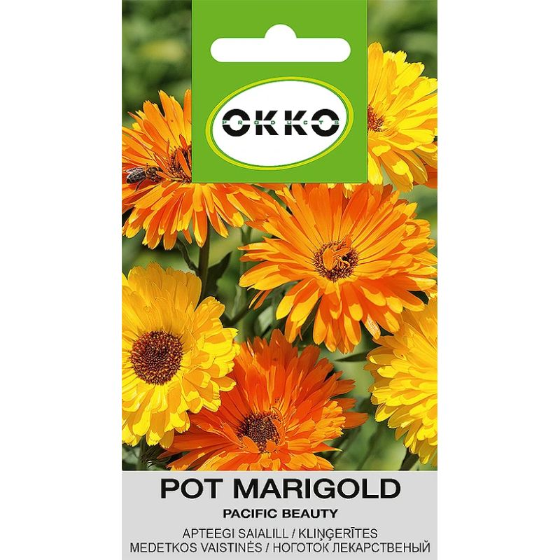 Sēklas kliņģerītes pacific beauty