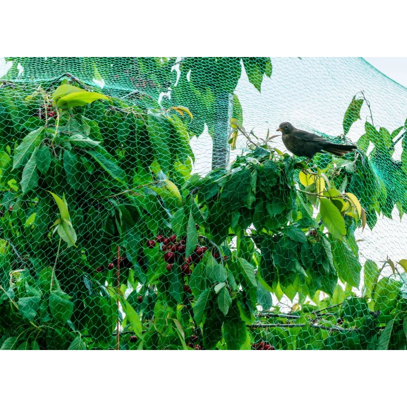 Siets pret putniem garden center 10x4m