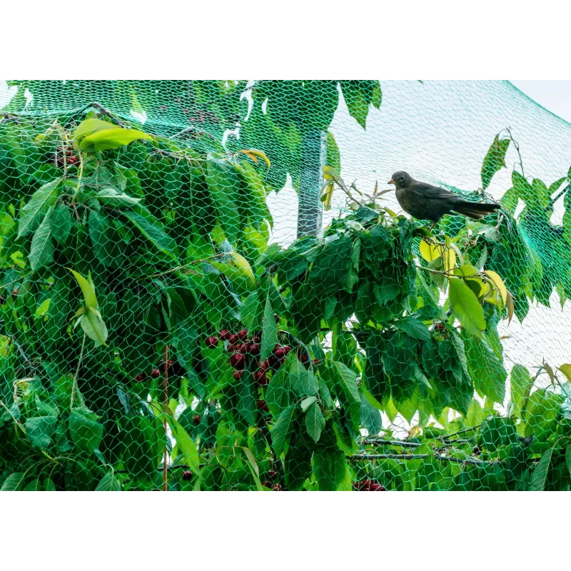 Tīkls pret putniem Garden Center BND10-01515, 10 m x 400 cm