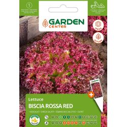 Sēklas dārzeņu salāti biscia rossa red 2