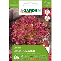 Sēklas dārzeņu salāti biscia rossa red 2