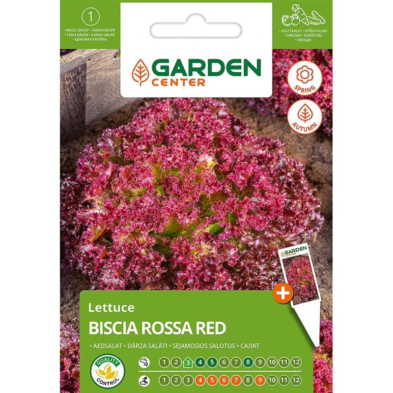 Sēklas dārzeņu salāti biscia rossa red 2