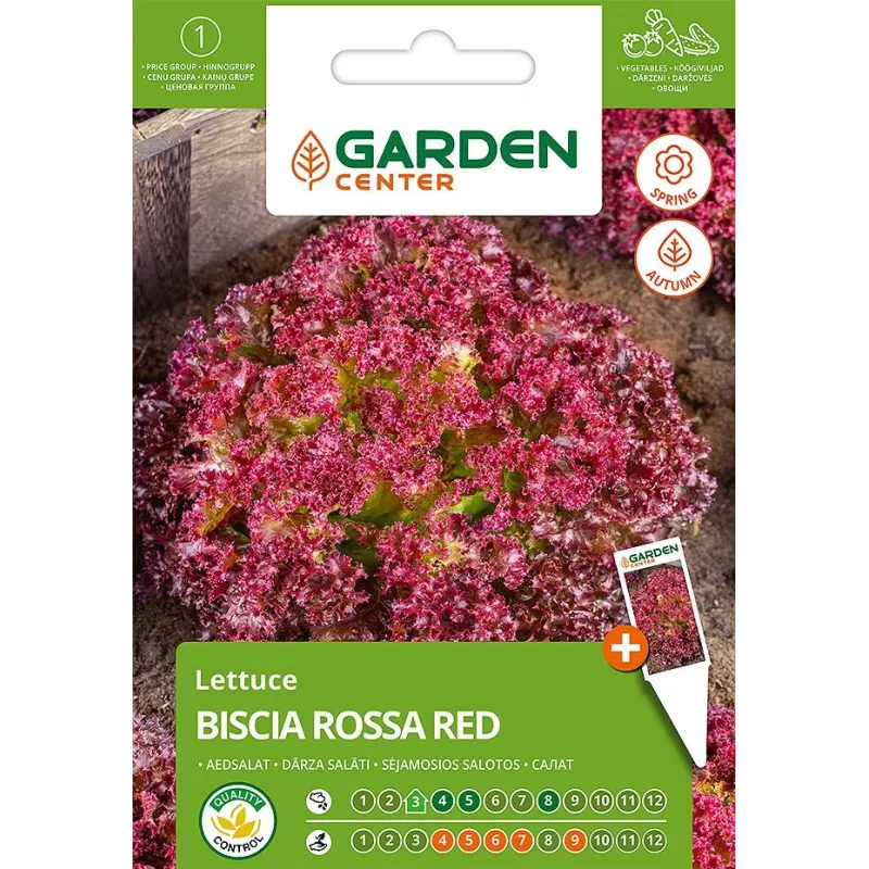Sēklas Garden Center, salāti BISCIA ROSSA RED, 2 g