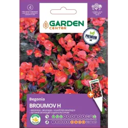 Seemned Garden Center begoonia BROUMOV H, 7 g