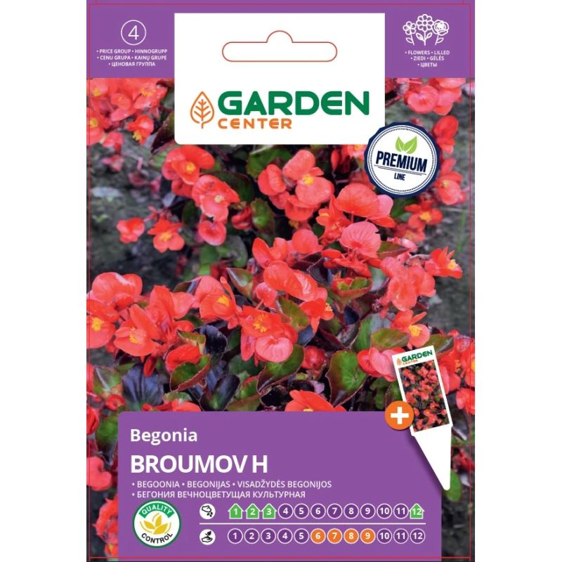 Sēklas ziedu begonijas broumov h 30s