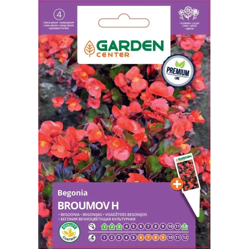 Sēklas Garden Center begonijas BROUMOV H, 7 g