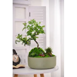 Puķu pods Domoletti M-21GD15, spw, zaļa