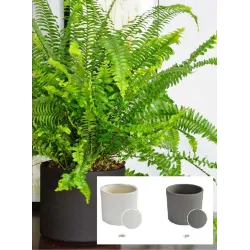 Цветочный горшок Domoletti, керамика, серый цв.