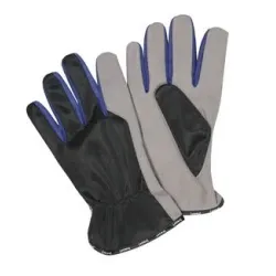 Cimdi pirkstaiņi, 10