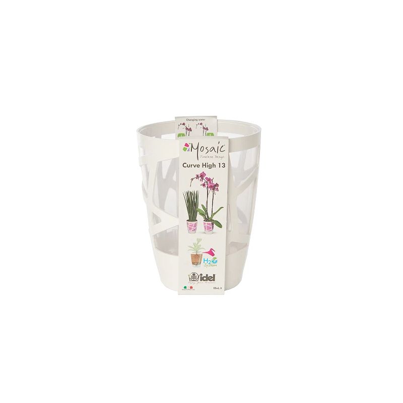 Puķu pods orhid. d13 mosch0013-609