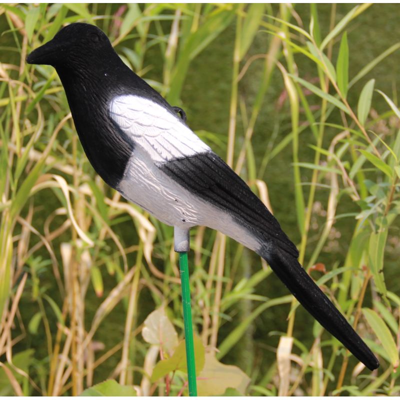 Dekorācija žagata s030 38x10x10