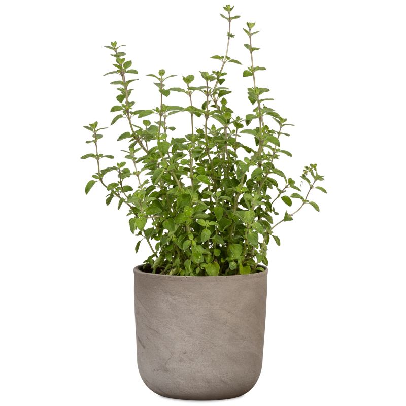 Puķpods keramikas 981-18 travertino d18