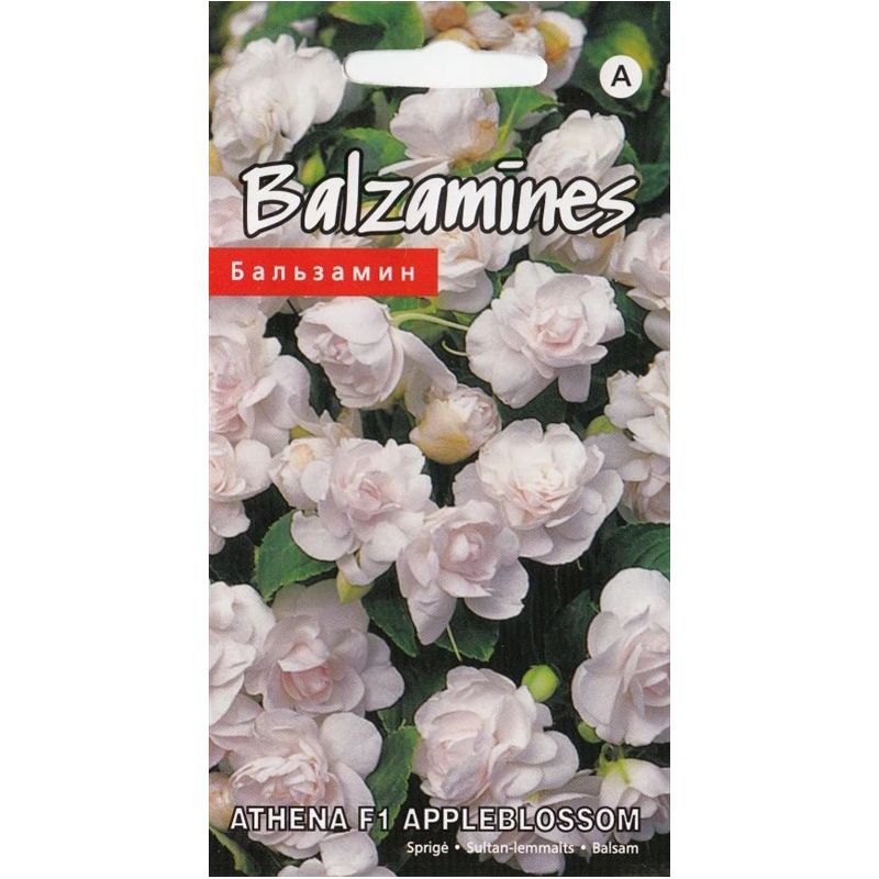 Sēklas balzamīnes athena f1 appleblossom