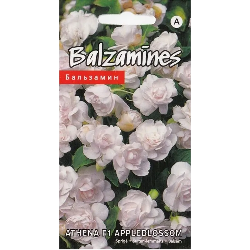 Sēklas Kurzemes sēklas viengadīgās, 0.1 g