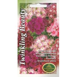 Sēklas flokši drumonda twinkling beauty