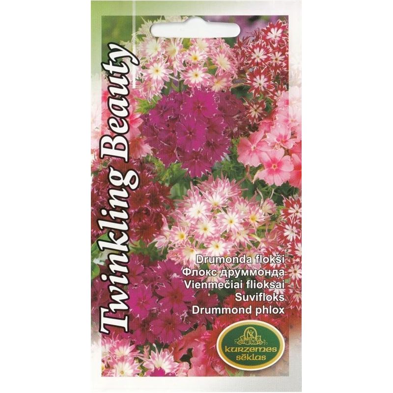 Sēklas flokši drumonda twinkling beauty