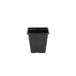 Вазон Garden Center 198550, 7 см x 7 см x 8 см, DIA 7 см, 12 шт.