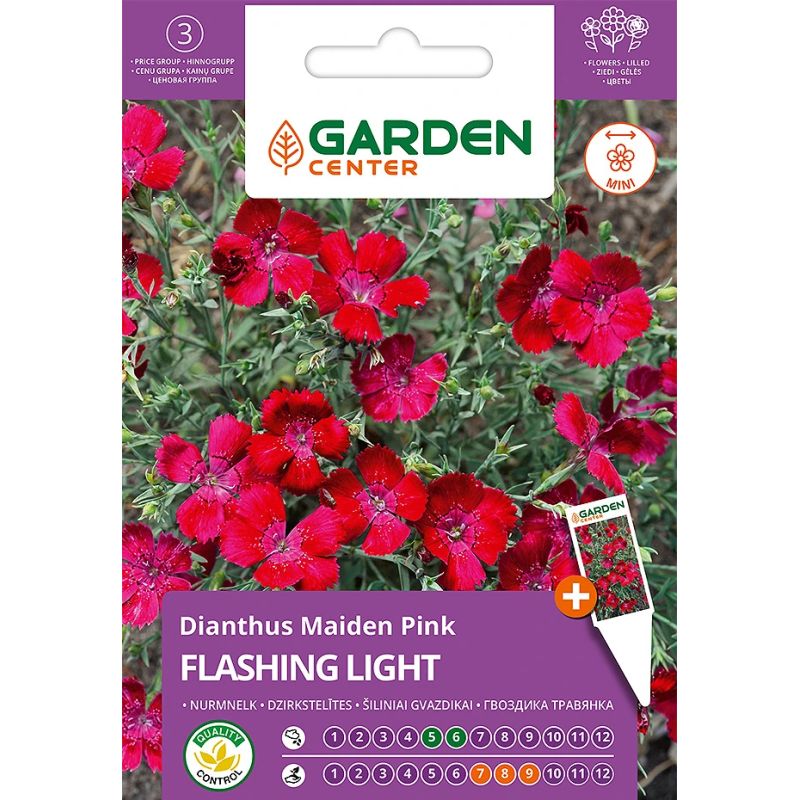 Sēklas ziedu neļķes flashing light 0.3g