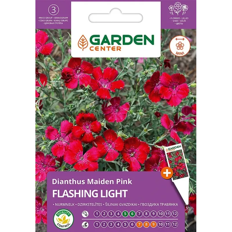 Sēklas Garden Center neļķes FLASHING LIGHT, 0.3 g