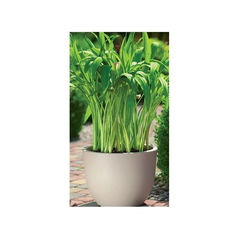 Puķu pods muna round 2731 051 d35 h26