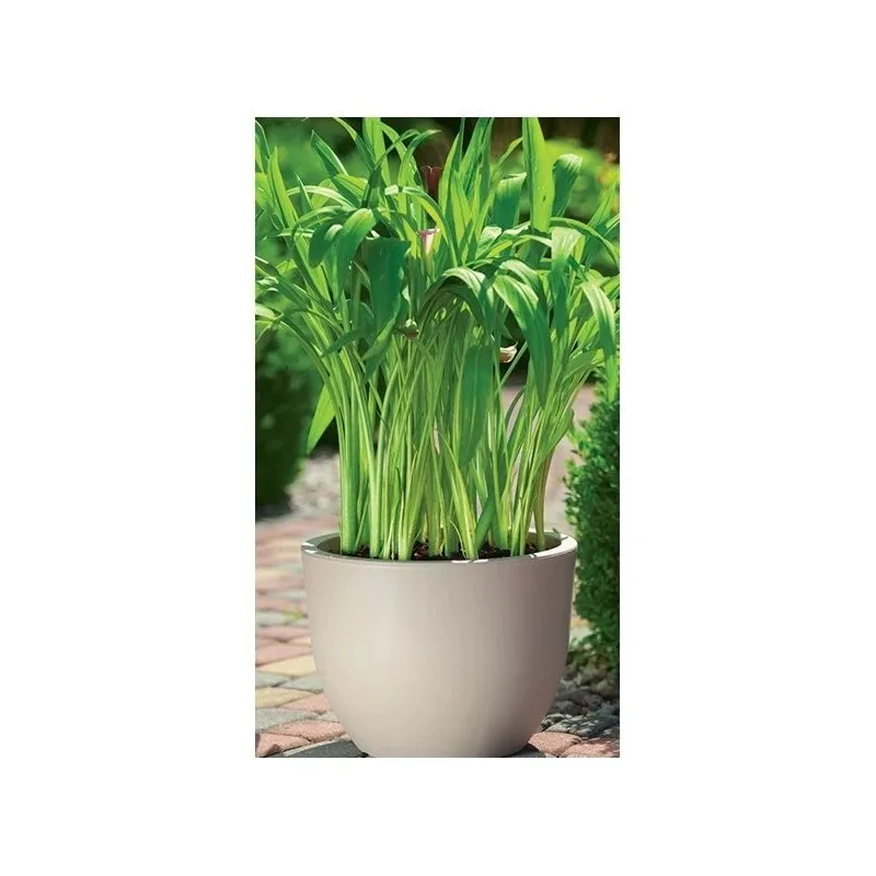 Puķu pods muna round 2731 051 d35 h26