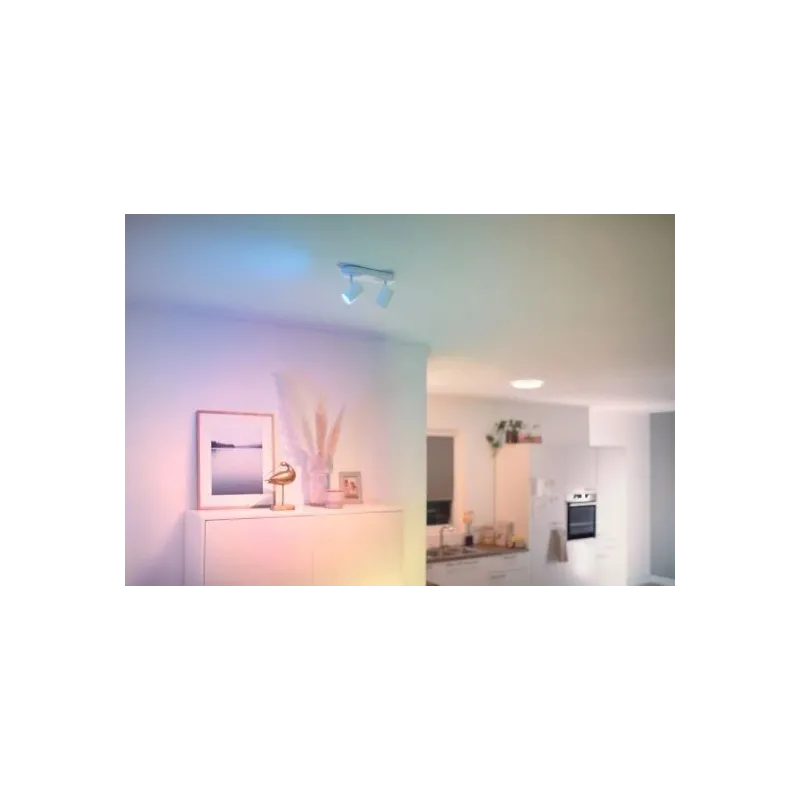 Piestipr.gaismeklgu10 wifi 10w 690lm rbg