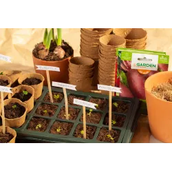 Sēklas Garden Center, galda bietes Cylindra, 5 g