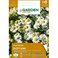 Sēklas Garden Center margrietiņa, 1 g