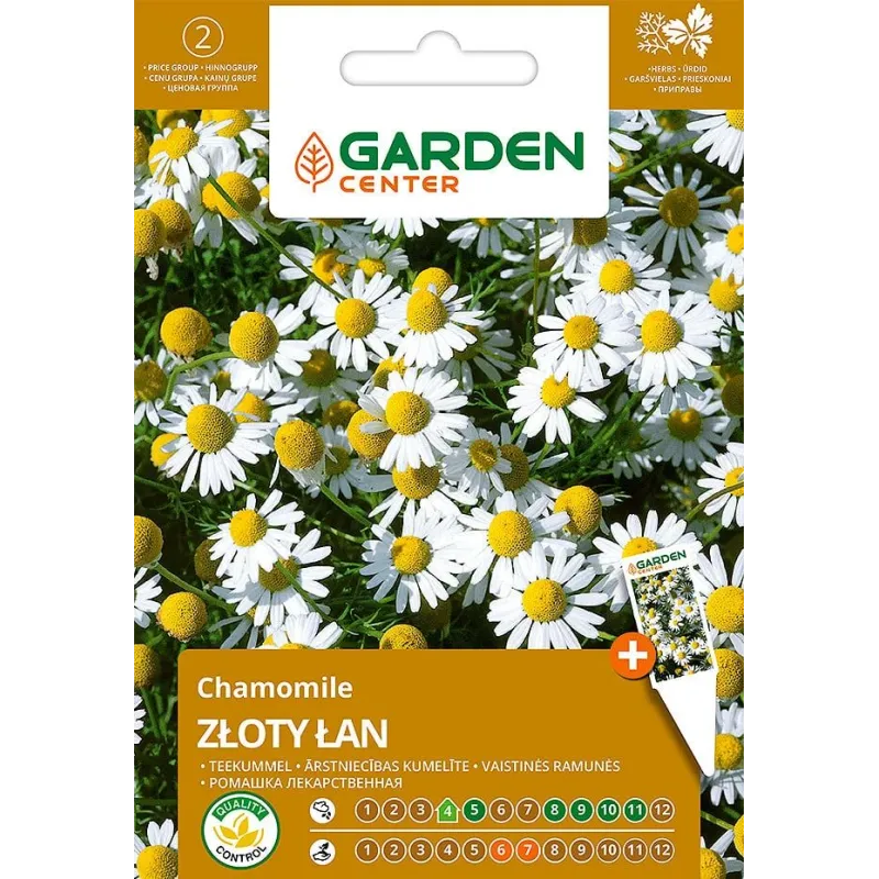 Sēklas Garden Center margrietiņa, 1 g