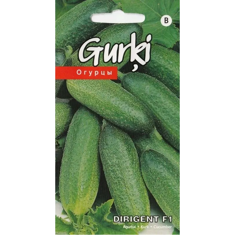 Sēklas, gurķi DIRIGENT F1, 3 g