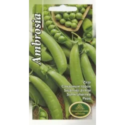 Sēklas zirņi ambrosia