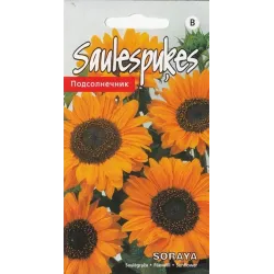 Sēklas Kurzemes sēklas saulespuķes Soraya, 3 g