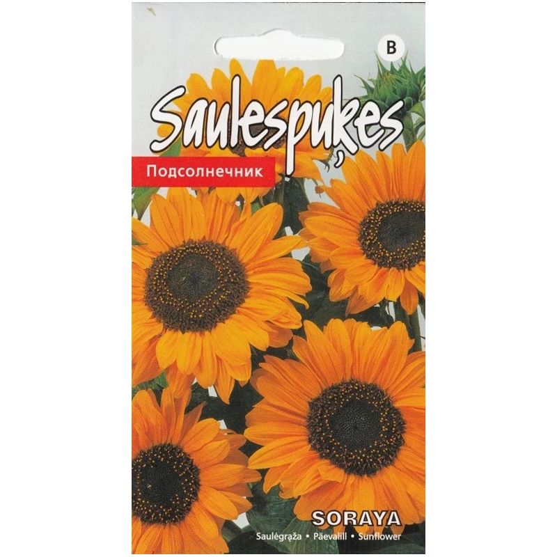 Sēklas saulespuķes soraya