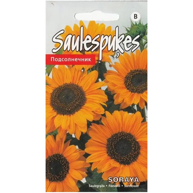 Sēklas Kurzemes sēklas saulespuķes Soraya, 3 g
