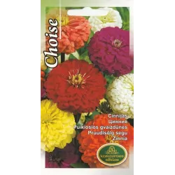 Sēklas Kurzemes sēklas cīnijas Zinnia Choise, 4 g