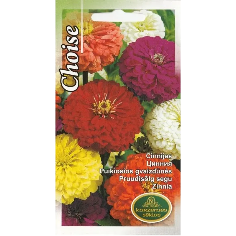Sēklas Kurzemes sēklas cīnijas Zinnia Choise, 4 g