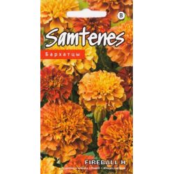 Sēklas samtenes fireball f1