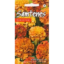 Sēklas Kurzemes sēklas samtenes Fireball F1, 3 g