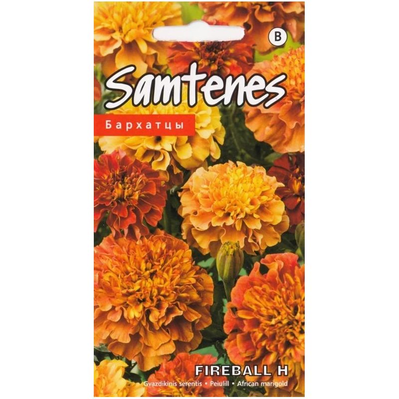 Sēklas samtenes fireball f1