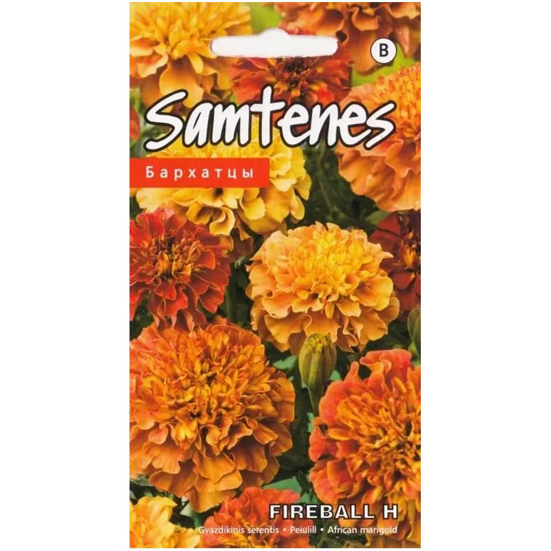 Sēklas Kurzemes sēklas samtenes Fireball F1, 3 g